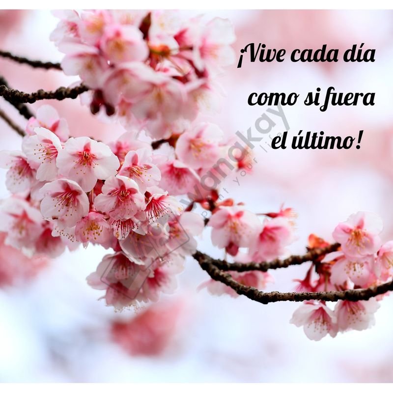 FOAM CUADRADO frase vive cada dia Marca de agua