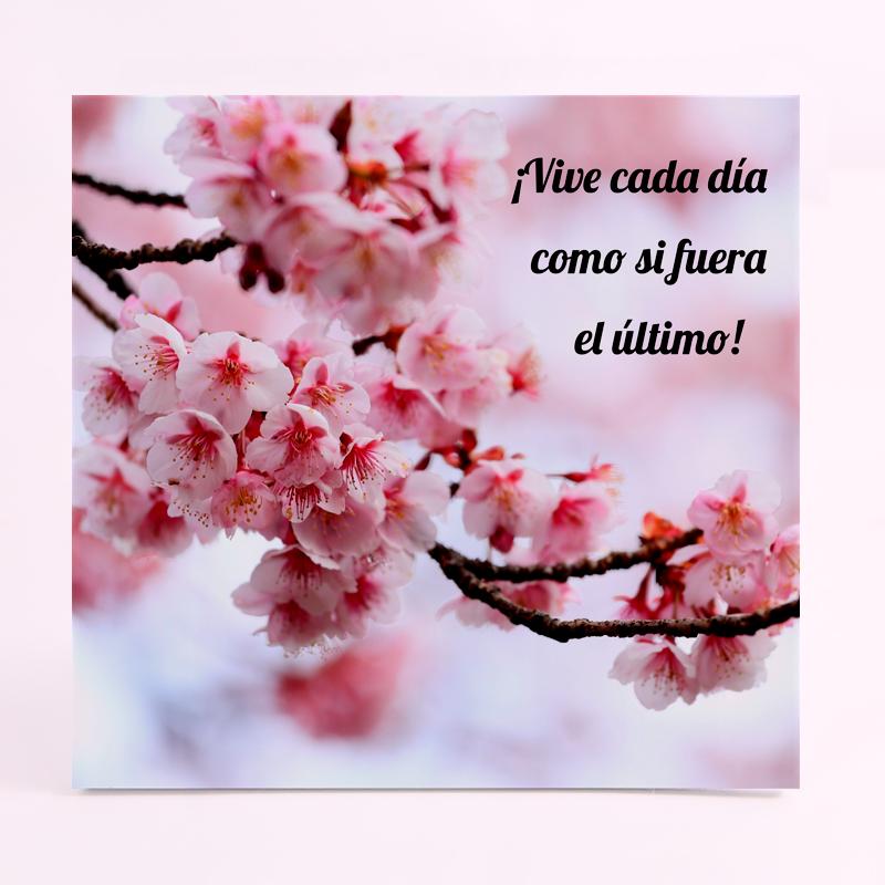 FOAM CUADRADO frase vive cada dia