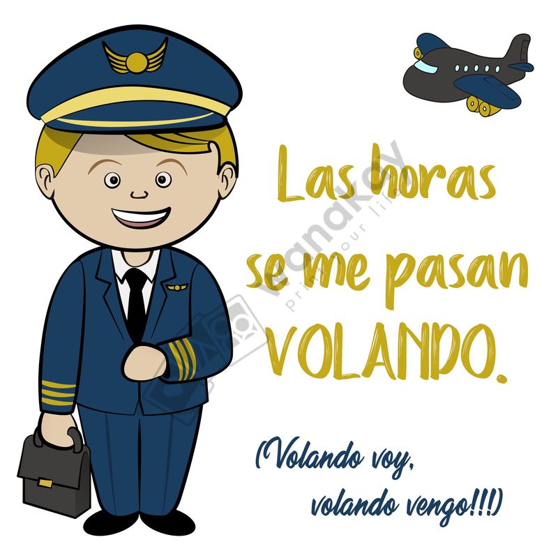 Piloto.pdf
