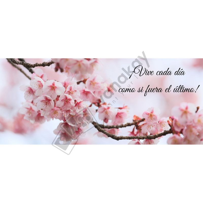 FOREX RECTANGULAR frase cada dia como si fuera el ultimo marca de agua
