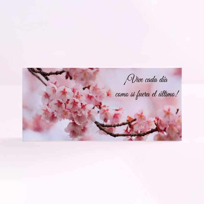 FOREX RECTANGULAR frase cada dia como si fuera el ultimo